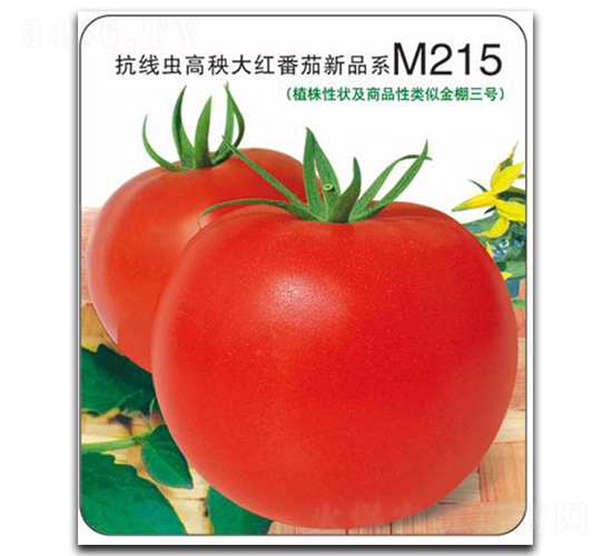 ����M215-��������