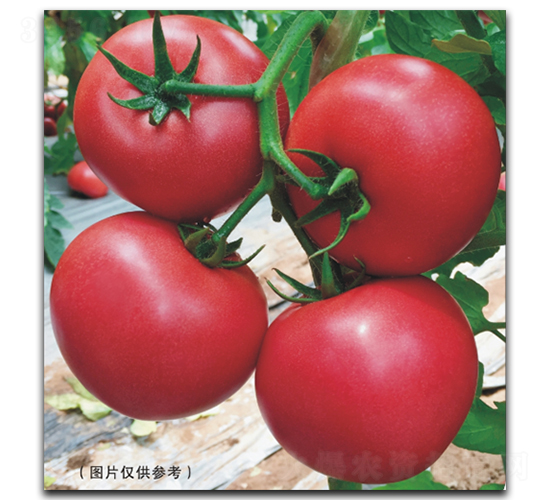 ����12-2-��������