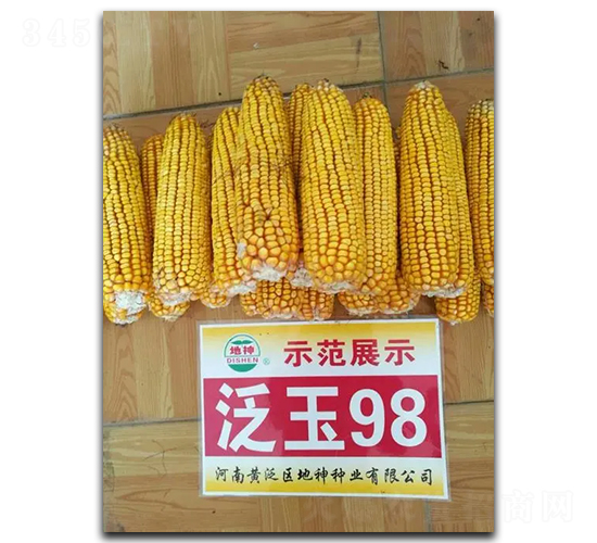 ����98-��������