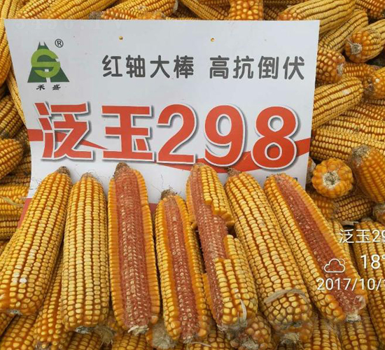 ����298-��������