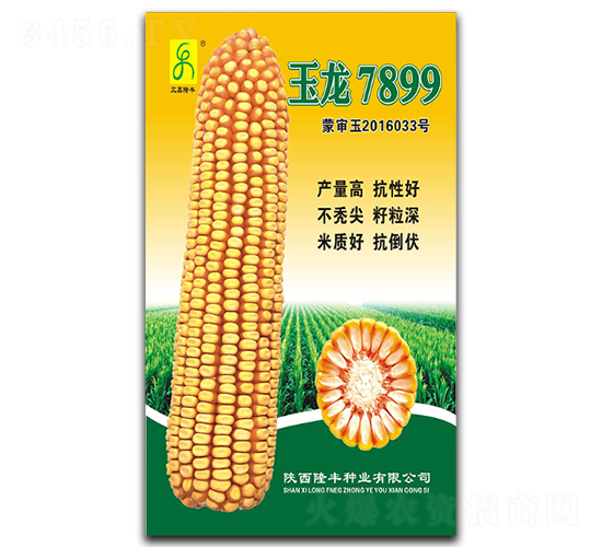 ����7899-��������
