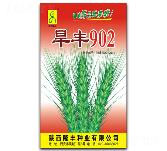 ����902-С������