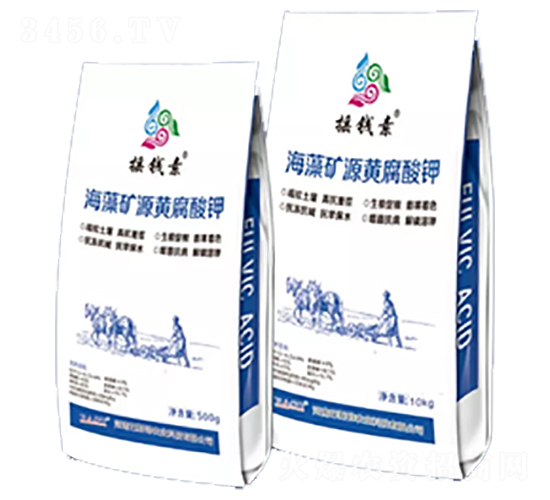 �����Դ�Ƹ����-ҡǮ������