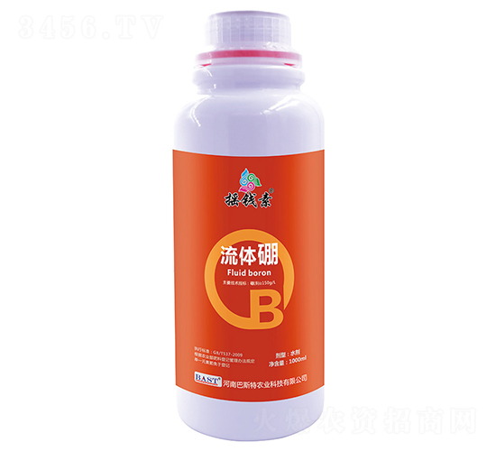 ������-ҡǮ������