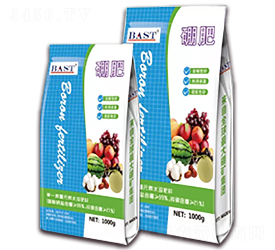 ���-ҡǮ������