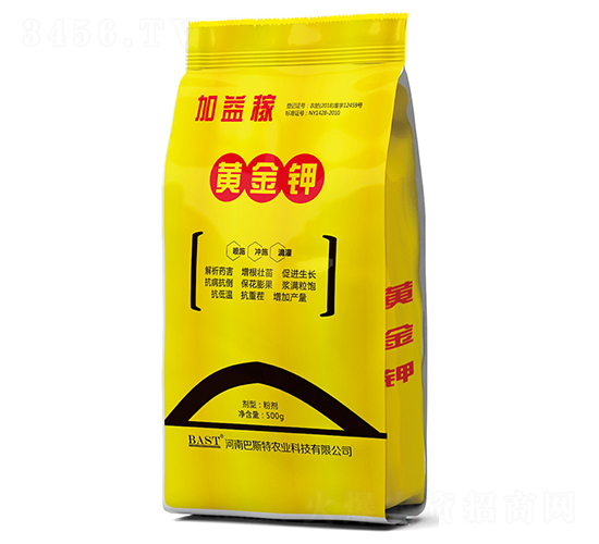 �ƽ��-ҡǮ������