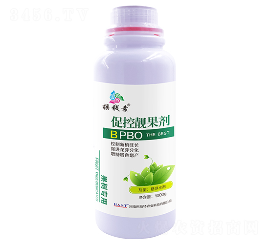 �ٿ�������-ҡǮ������