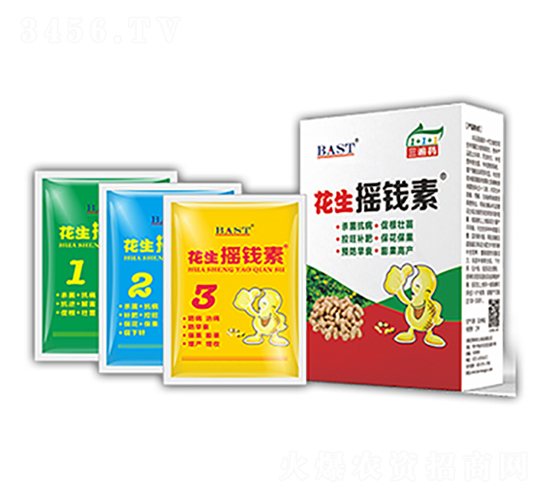 ����ҡǮ��-ҡǮ������