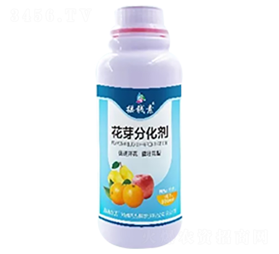 ��ѿ�ֻ���-ҡǮ������