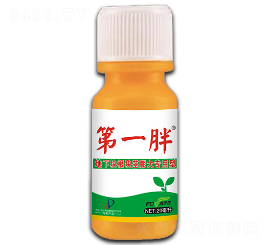 ���¿���龥���������-��һ��-��̩ũҵ