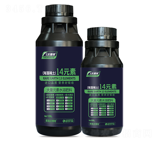 ����ϡ��14Ԫ��-Ӣ���ֲ���