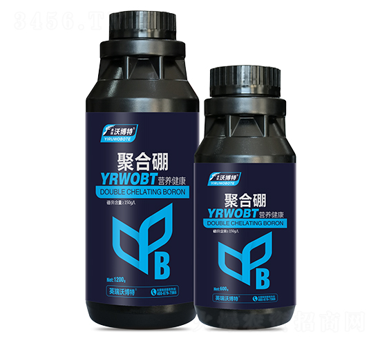 �ۺ���-Ӣ���ֲ���
