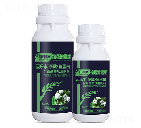 �޻�������ġ��㵰��-���ַ�-Ӣ���ֲ���
