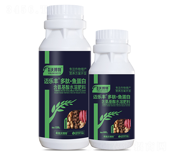 ���龥��������ġ��㵰��-���ַ�-Ӣ���ֲ���