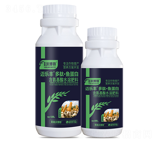 ����������ġ��㵰��-���ַ�-Ӣ���ֲ���