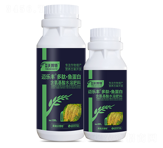 ˮ��������ġ��㵰��-���ַ�-Ӣ���ֲ���
