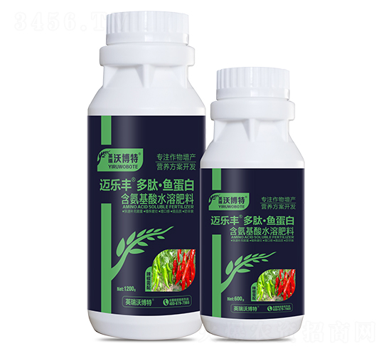 ����������ġ��㵰��-���ַ�-Ӣ���ֲ���