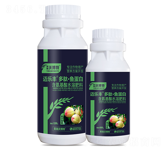 ����������ġ��㵰��-���ַ�-Ӣ���ֲ���