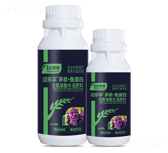 ����������ġ��㵰��-���ַ�-Ӣ���ֲ���