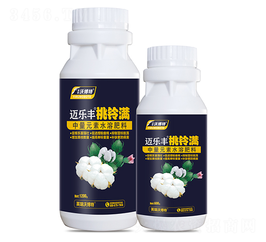 ������-���ַ�-Ӣ���ֲ���