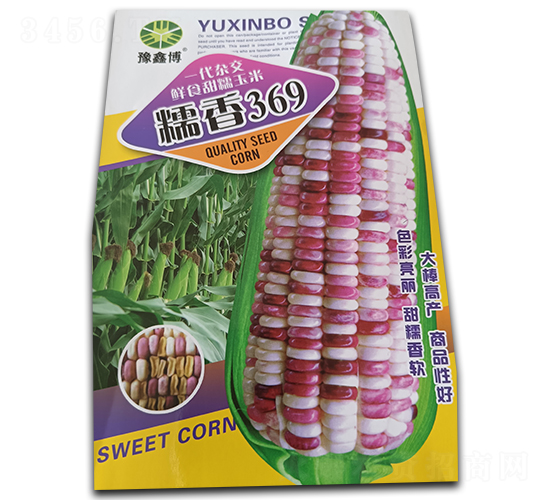 Ŵ��369-Ŵ��������-ԥ�β�