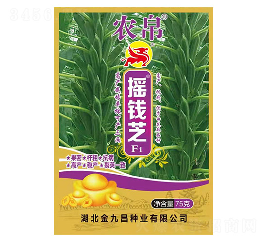 ҡǮ֥F1-֥������-��Ų�