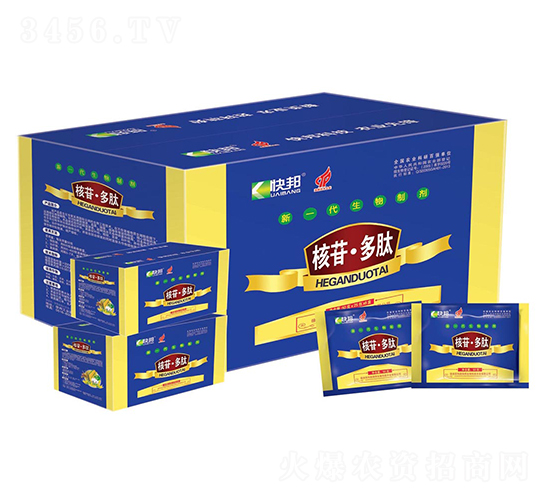 ��һ�������Ƽ�-���ն���-�������