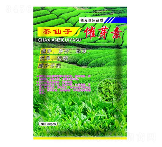 30g�����Ӵ�ѿ��-�����ҵ