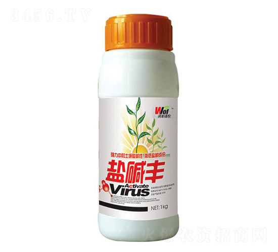 �μ��-�ַ���ũ-�ַ�����