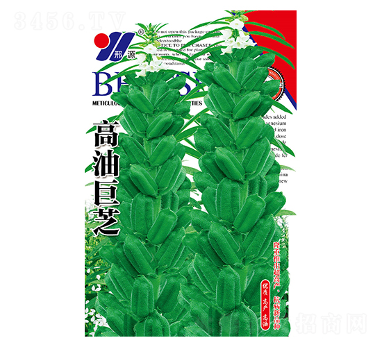 ���;�֥-֥������-��Դũҵ