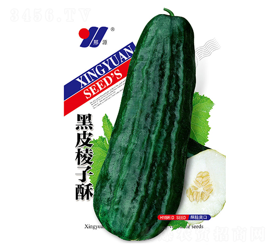 ��Ƥ������-�������-��Դũҵ