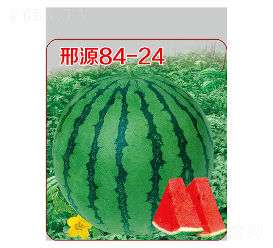 ��Դ84-24-��������-��Դũҵ