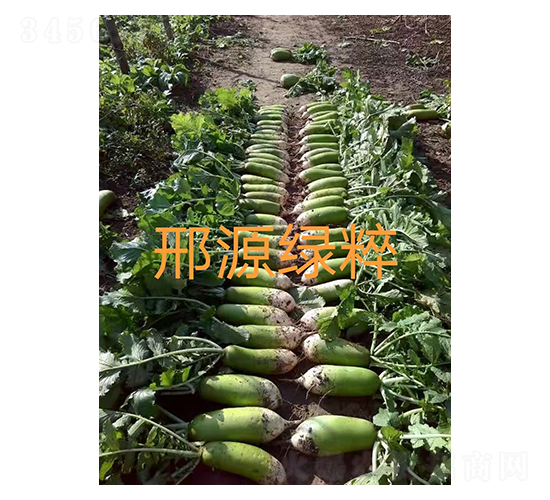 ��Դ�̴�-���ܲ�����-��Դũҵ