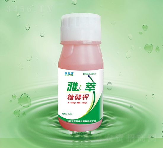 �Ǵ���-����-��ʩ��