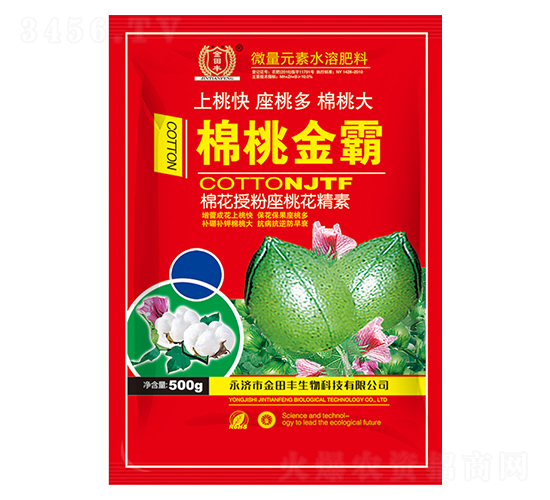 �޻��ڷ����һ�����-���ҽ��-�����
