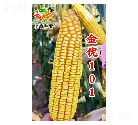 ����101-��������-�h����ҵ