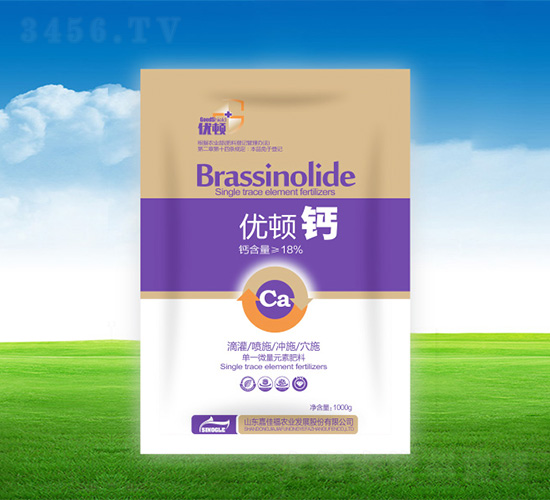 1000g�Ŷٸ�-�μѸ�