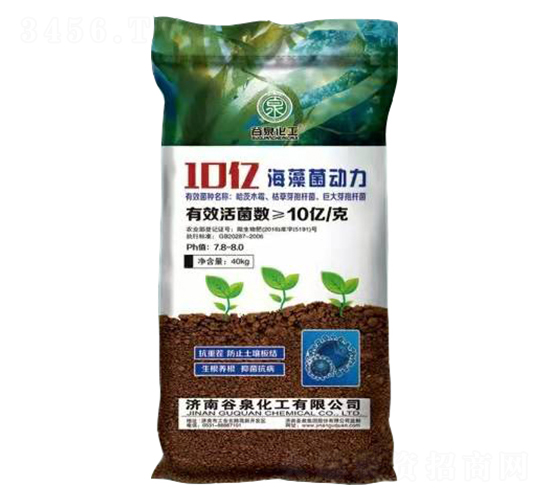 10�ں��������-��Ȫ����
