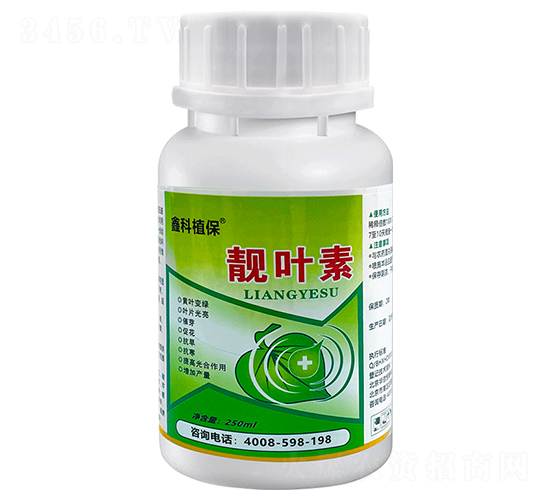 ��Ҷ��-��Ҷһ����-�ο�ֲ��