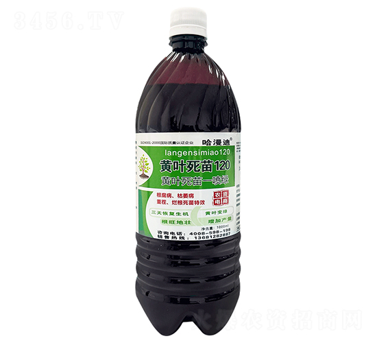 ��Ҷ����120-������-�ο�ֲ��