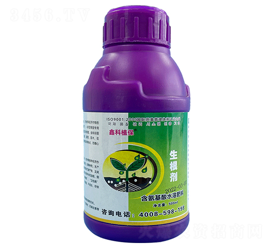 500ml������-�ο�ֲ��