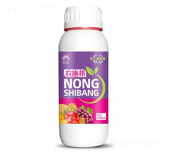 ũʩ��-�ֶ���