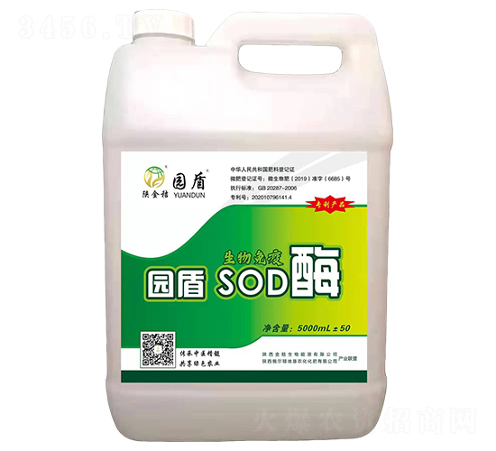 ��������SODø-԰��-�������