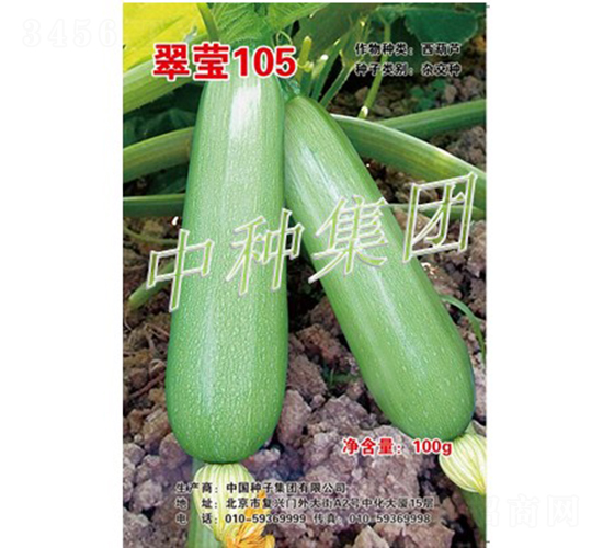 ��Ө105-����«����-���ּ���