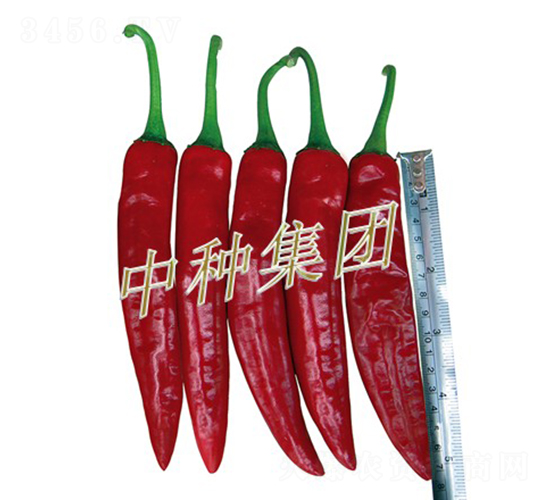 ��Դ818-��������-���ּ���