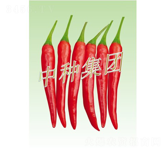 ����08-��������-���ּ���