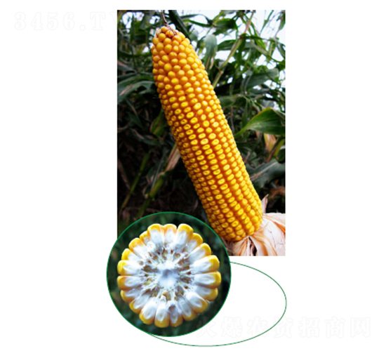 ����315-��������-���ּ���