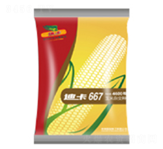 �Ͽ�667-��������-���ּ���