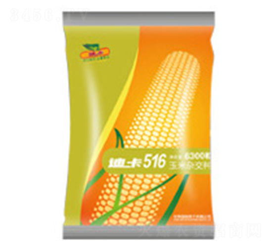�Ͽ�516-��������-���ּ���