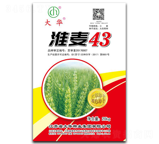 ����43-С������-����ҵ